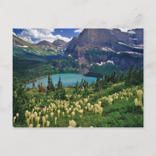 Postal Beargrass sobre el lago Grinnell en Many
