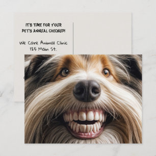 Postal Beart Collie Toothy Smile