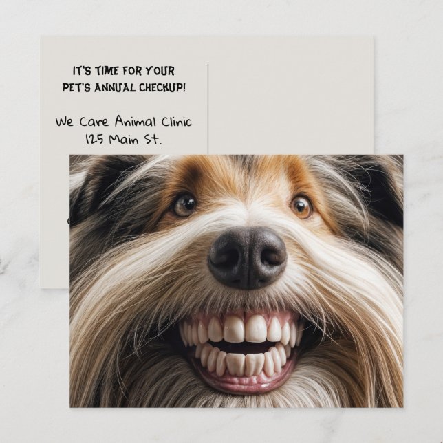 Postal Beart Collie Toothy Smile (Anverso / Reverso)