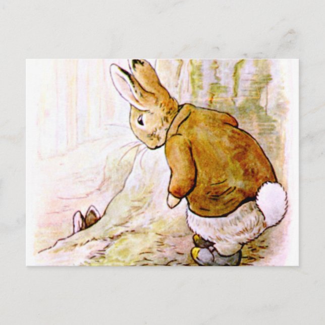 Postal Beatrix Potter - Ilustracion conejito (Anverso)