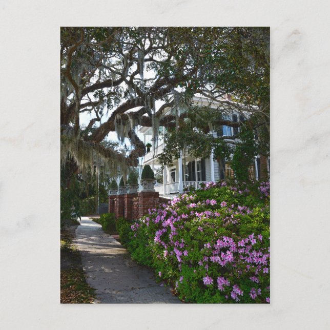 Postal Beaufort hermoso, Carolina del Sur (Anverso)