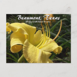 Postal Beaumont, Texas Botanical Garden Day Lily Travel