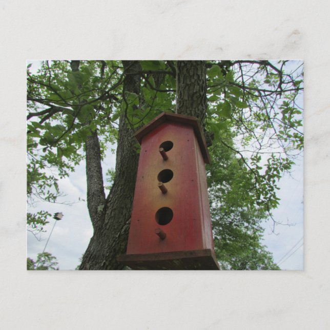 Postal beautiful bird house hanging from the tree (Anverso)