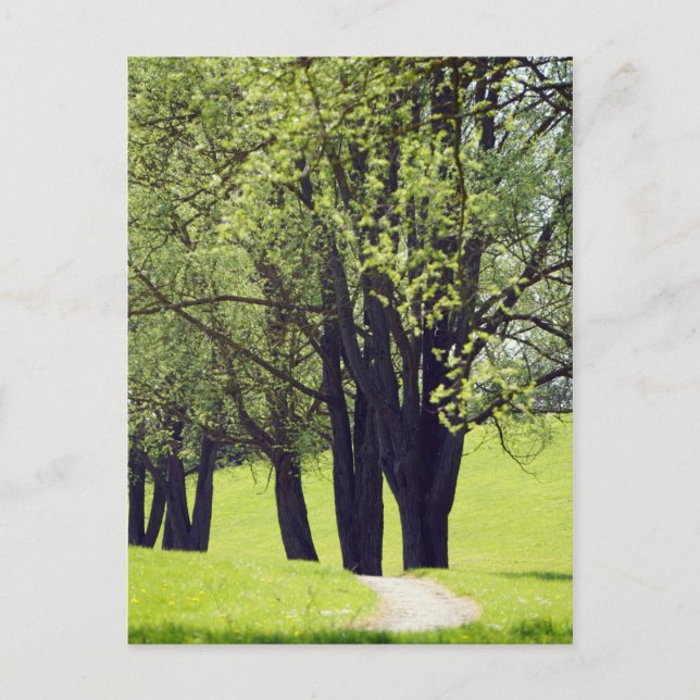 Postal Beautiful Meadow (Anverso)