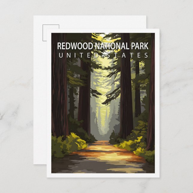 Postal Beautiful Place Redwood National Park USA Travel (Anverso / Reverso)