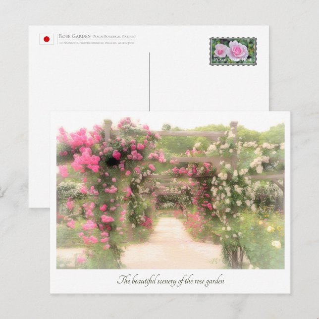 Postal Beautiful Rose Garden (Anverso / Reverso)