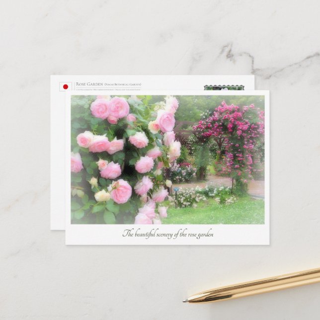 Postal Beautiful Rose Garden (Anverso/Reverso In Situ)