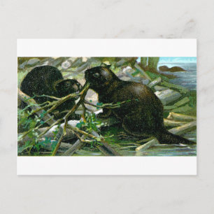 Postal Beaver