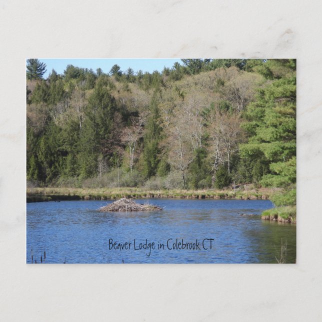 Postal Beaver Lodge en COLEBROOK, CT (Anverso)
