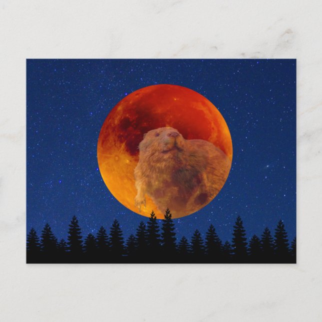 Postal Beaver Moon en noviembre (Anverso)