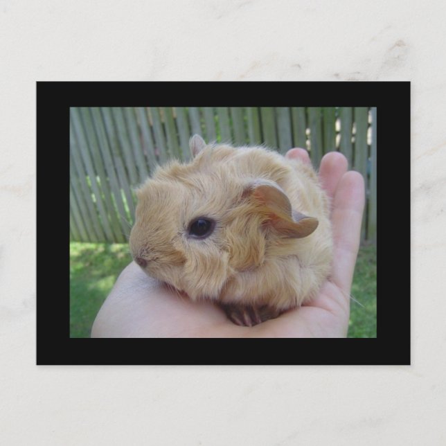 Postal bebé (Anverso)