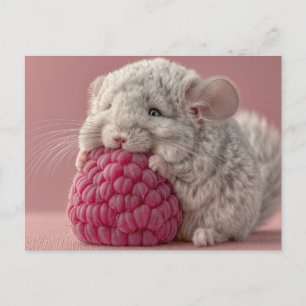 Postal Bebé Chinchilla Adorable Abrazando una Frambuesa G