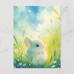 Postal Bebé Chinchilla Blanco en Pradera Verde Soleada