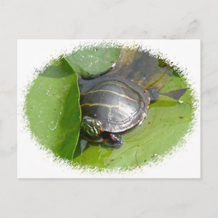 Postal Bebé con tortuga pintada en ílipos