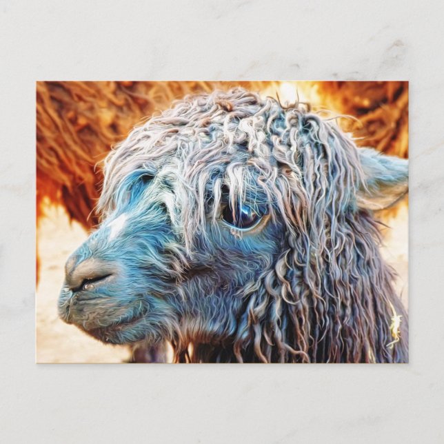 Postal Bebé de la Alpaca Cuta en Azul (Anverso)