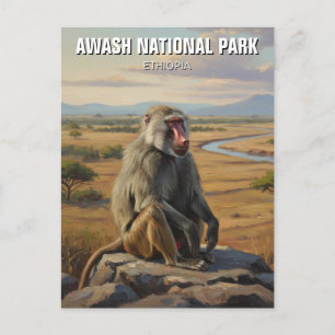 Postal Bebé en el Parque Nacional Awash, viajes de Etiopí