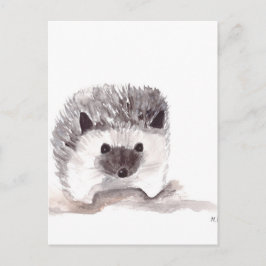 Postal bebé hedgehog