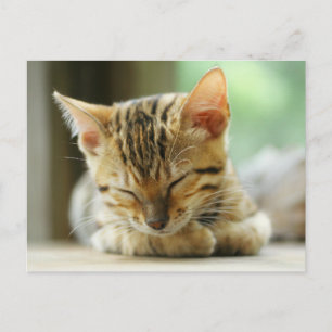 Postal Bebé Kitty durmiente