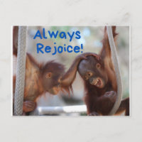 Bebé lindo Orangutan siempre se regocija