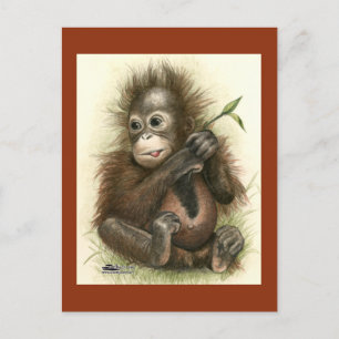 Postal Bebé orangután con hojas