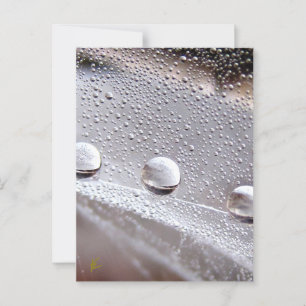 Postal Beber cae sobre la naturaleza de la galaxia web ar