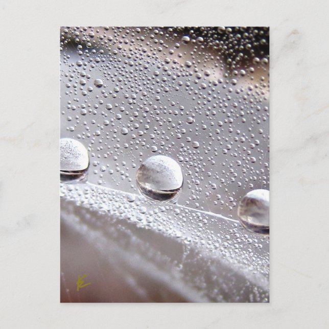 Postal Beber cae sobre la naturaleza de la galaxia web ar (Anverso)