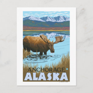 Postal Beber de alce en el lago - Anchorage, Alaska