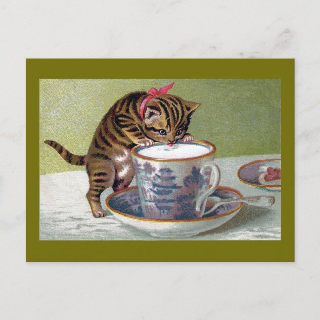 Postal Beber gatito de Teacup Victorian (Anverso)
