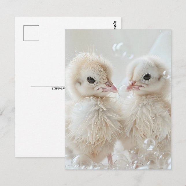 Postal Bebés de pavo real blancos, poscruce (Anverso / Reverso)