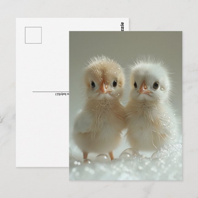 Postal Bebés de pavo real blancos, poscruce (Anverso / Reverso)
