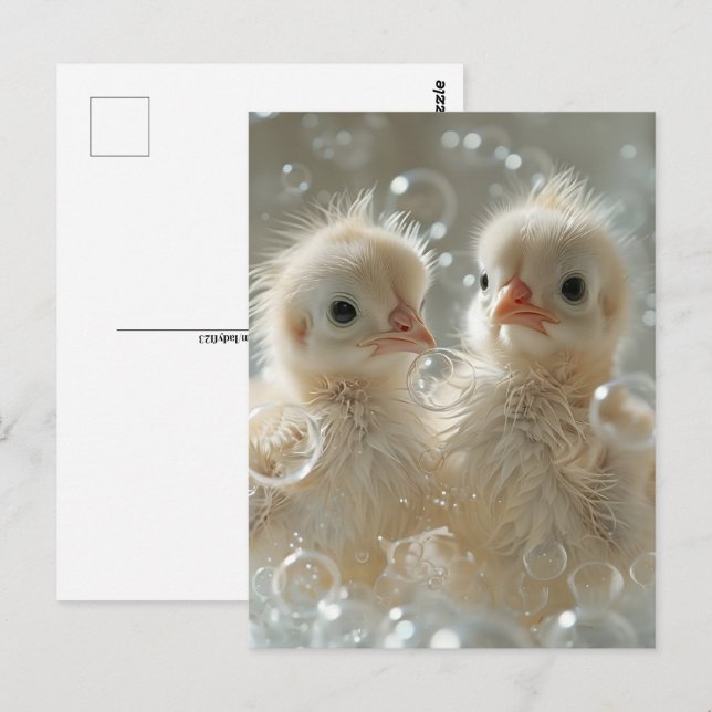 Postal Bebés de pavo real blancos, poscruce (Anverso / Reverso)