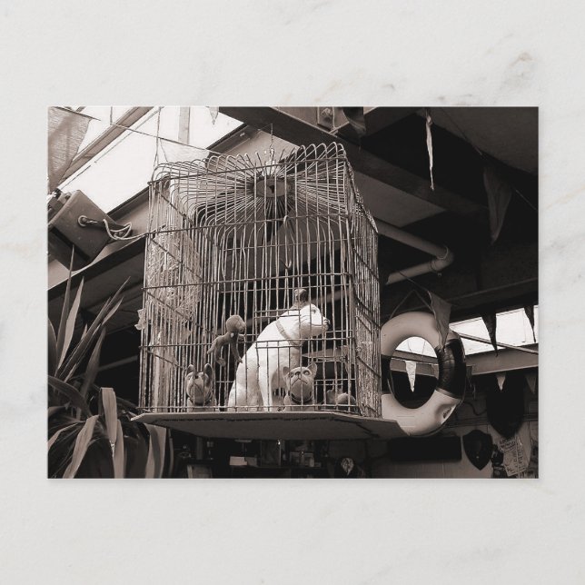 Postal Bebidas enjauladas (Anverso)