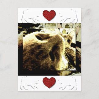 Postal "Becas" por Suan S'Katra