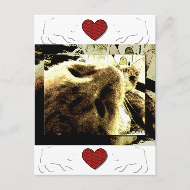 Postal "Becas" por Suan S'Katra (Anverso)