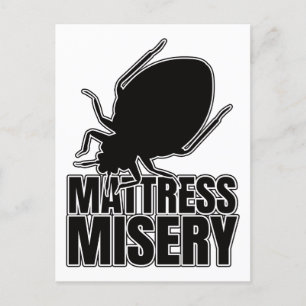 Postal Bed Bugs Bed Bug Bedbugs - Entomology Geek