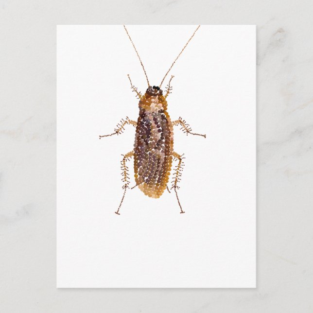 POSTAL BEDAZZLED ROACH (Anverso)