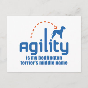 Postal Bedlington Terrier