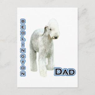 Postal Bedlington Terrier Dad 4