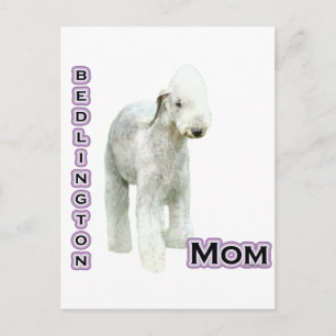 Postal Bedlington Terrier Mom 4