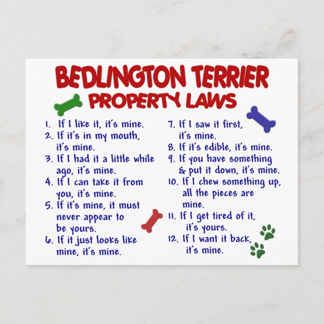 Postal BEDLINGTON TERRIER Property Laws 2 (Anverso)