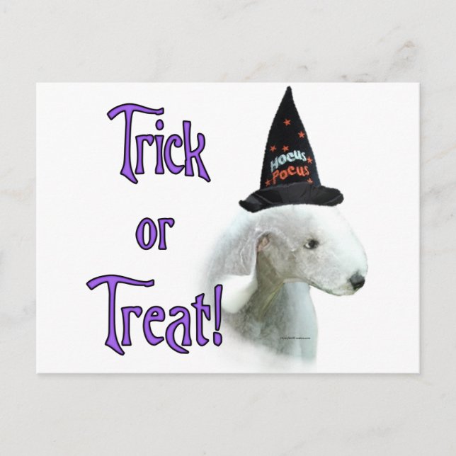 Postal Bedlington Terrier Trick (Anverso)