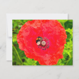 Postal Bee