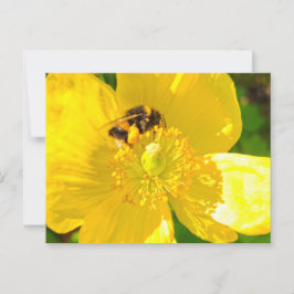 Postal Bee