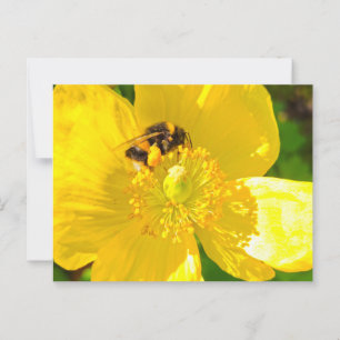Postal Bee