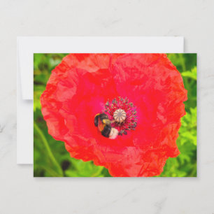 Postal Bee