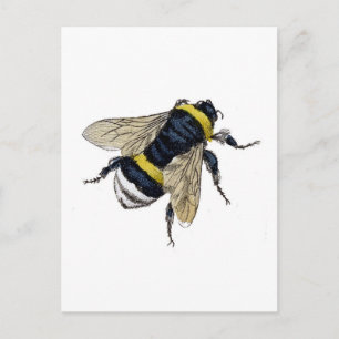 Postal Bee