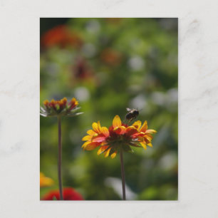 Postal Bee and Flower