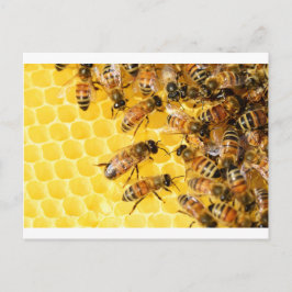 Postal Bee Bees Hive Honey Comb dulce postre Amarillo