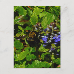 Postal Bee de abejas moradas y abeja de burbujas