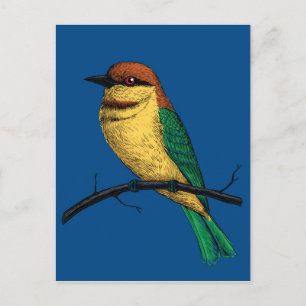 Postal Bee eater